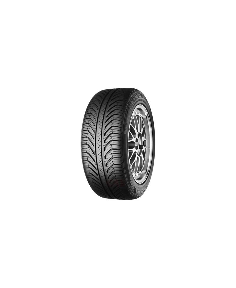 Pneu Michelin P.SP.AS+ EL N0 255/40 R20 101V, M&S