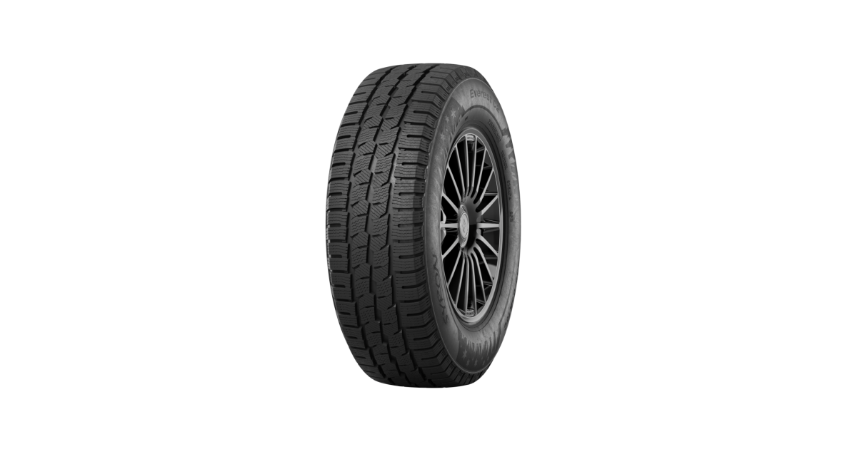 Pneu Syron EVEREST C2 215/75 R16 113/111R, 3PMSF