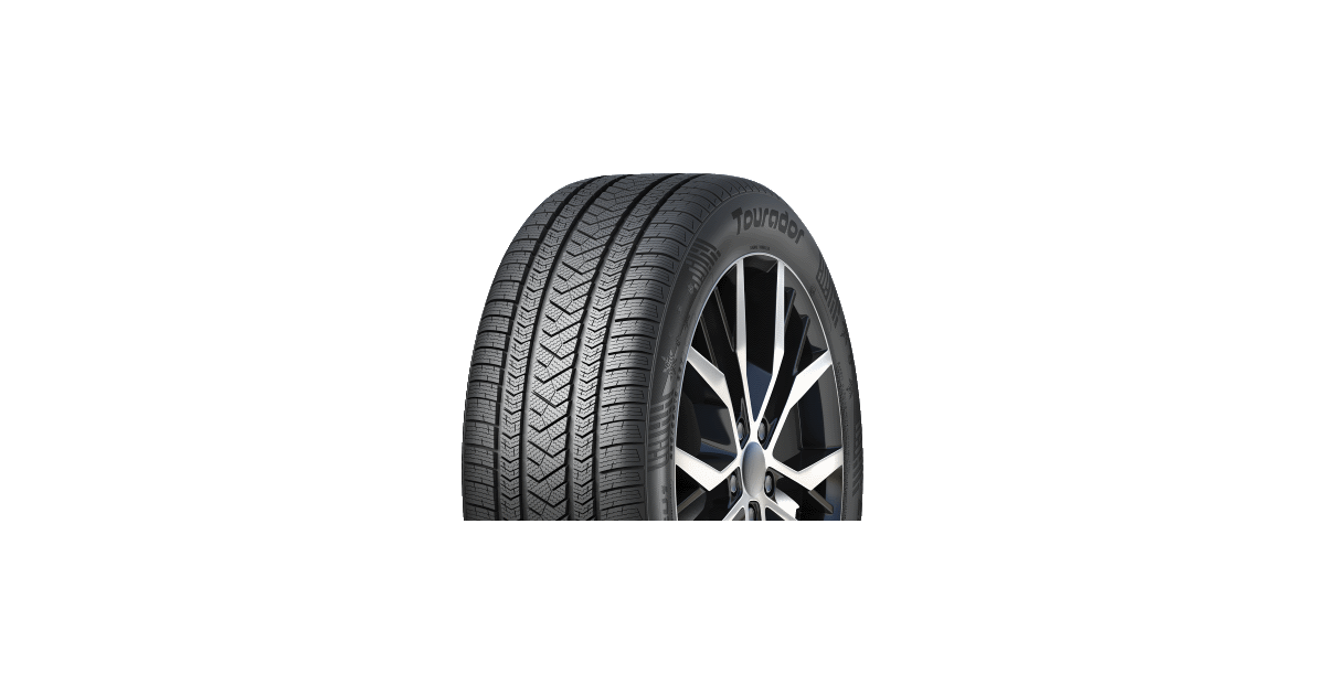 Pneu Tourador 275/40R19 105V XL WINTER PRO TSU1 3PMSF