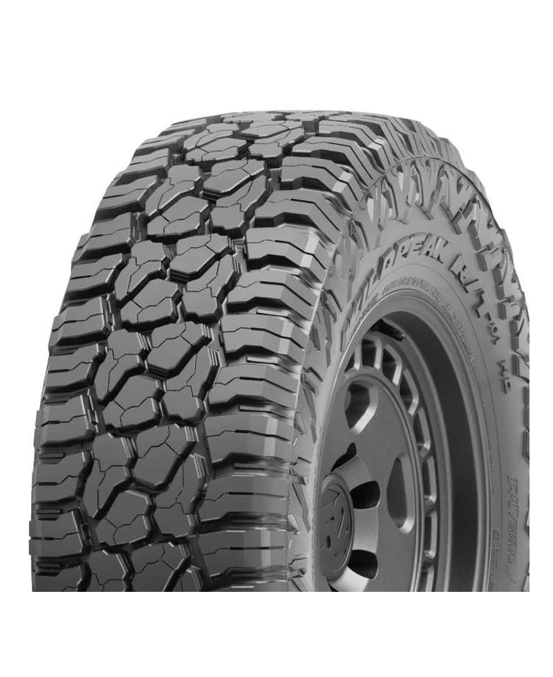 Pneu Falken Wildpeak WP R/T RT01 285/65 R18 121Q ,M&S