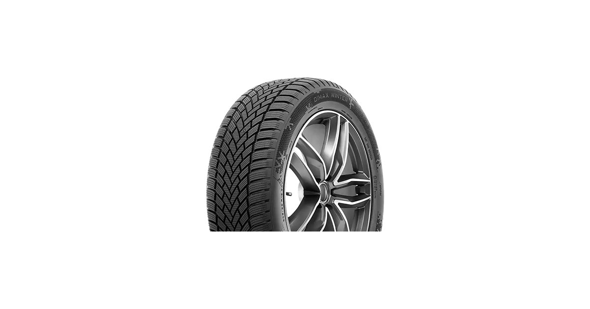 Pneu Radar DIMAX WINTER 185/60R14 82T M+S ,3PMSF