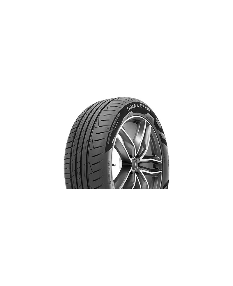 Pneu Radar 205/55R16 94W XL DIMAX SPRINT EVC M+S