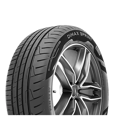 Pneu Radar DIMAX SPRINT EVC 195/65R15 91H