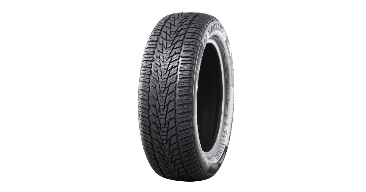 NANKANG SV-4 WINTER 195/65 R15 95T XL, 3PMSF