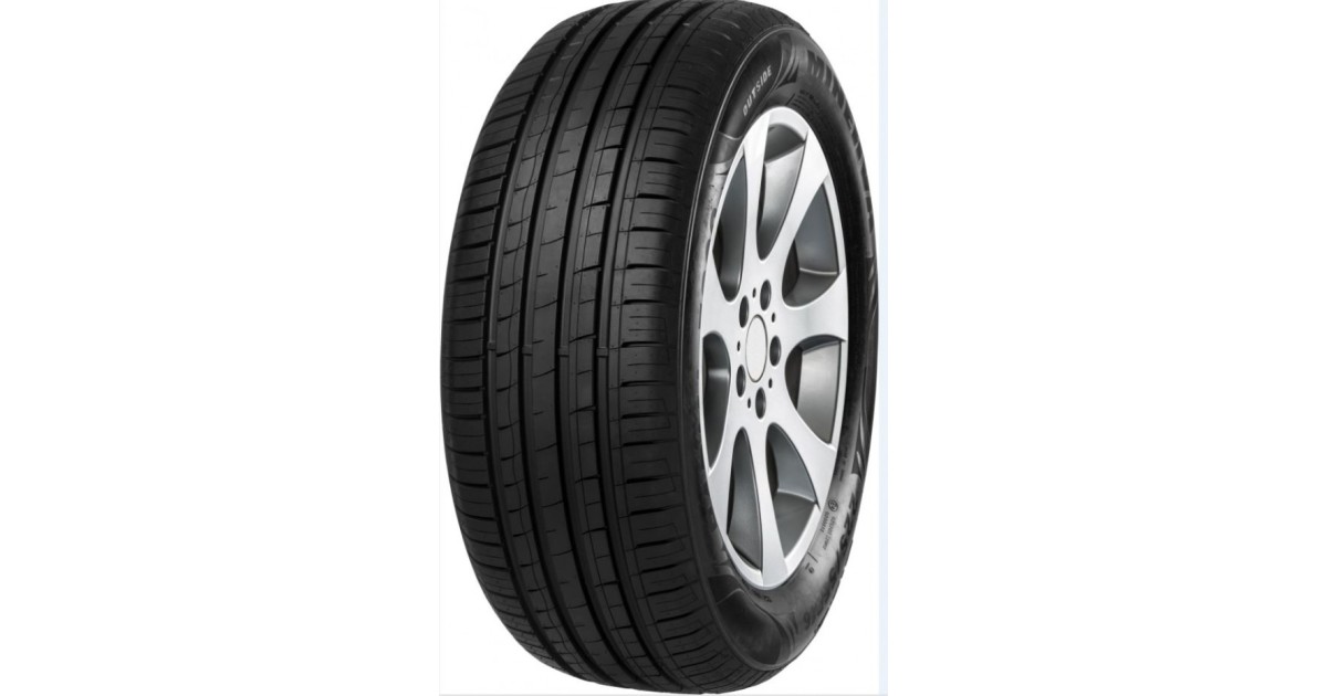 MINERVA 205/60 R16 92V F209