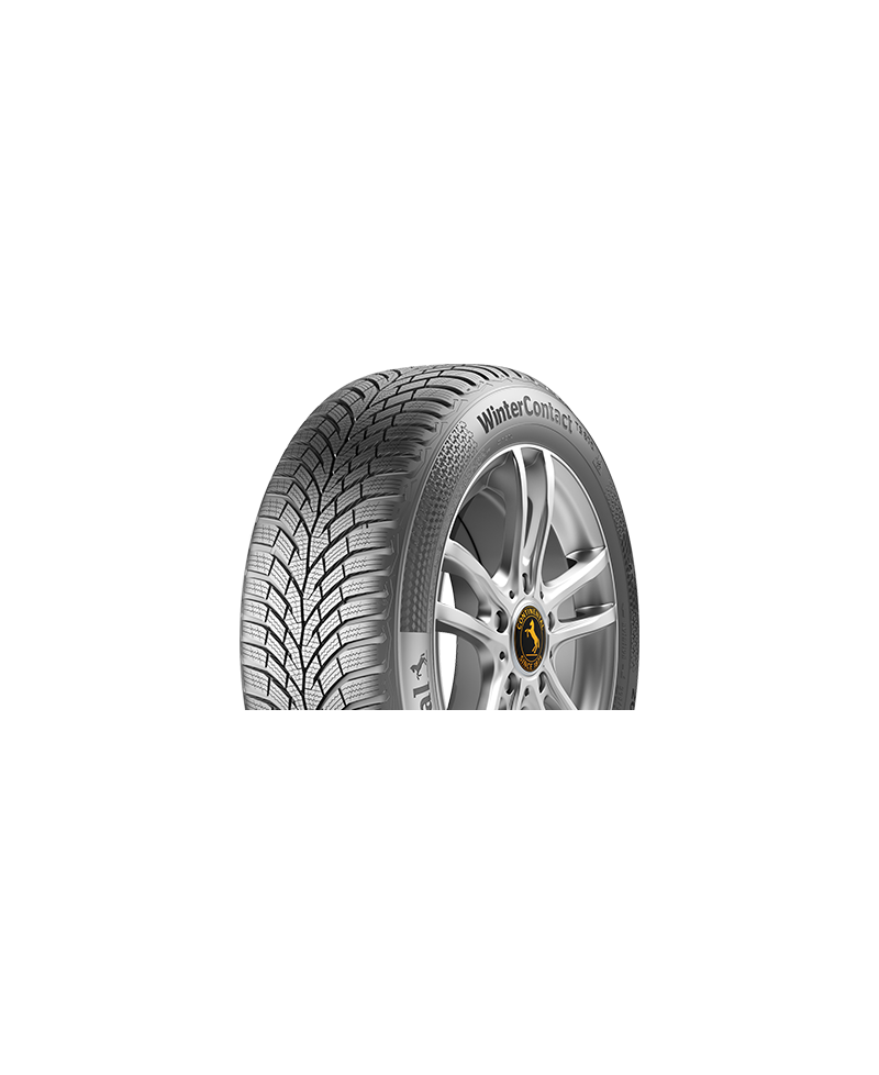 Pneu Continental WinterContact TS 870 EVc  , 195/ 65 R15 91T , 3PMSF