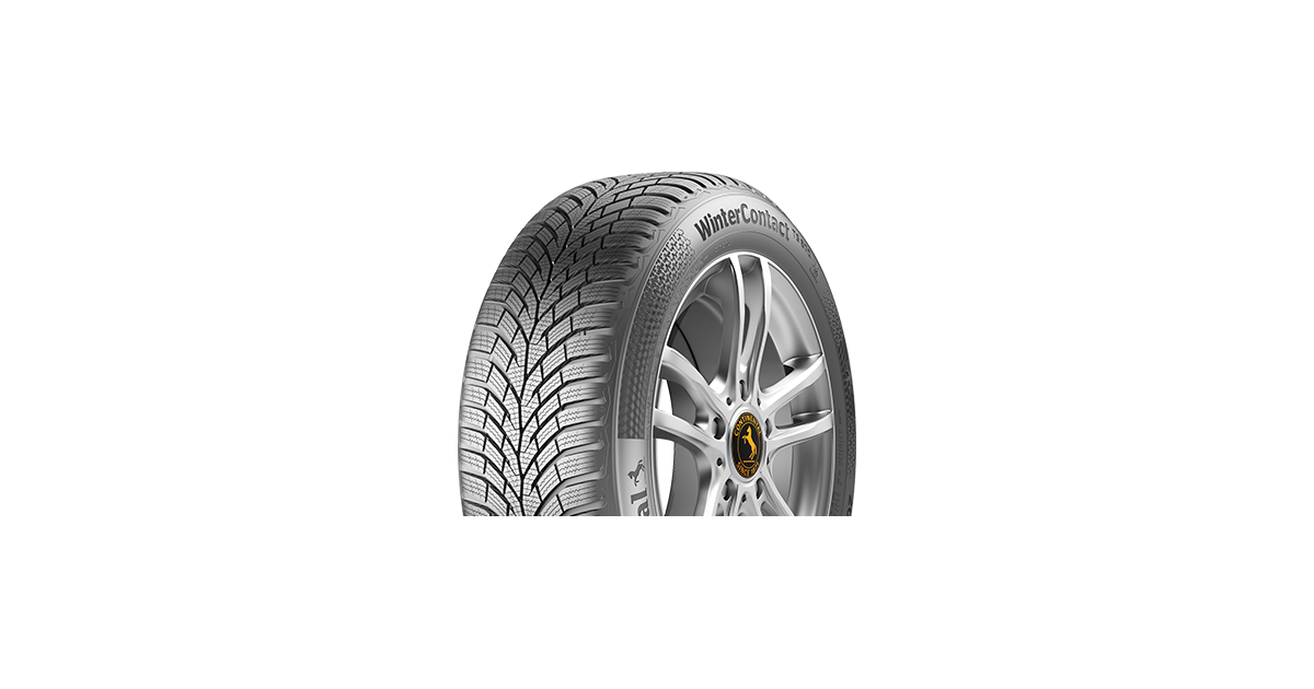 Pneu Continental WinterContact TS 870 EVc  , 195/ 65 R15 91T , 3PMSF