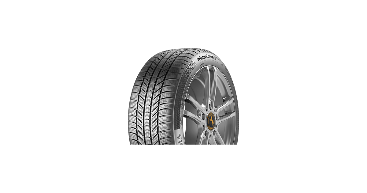 Pneu Continental WinterContact TS 870 P EVc 195/ 55 R18 93H XL , 3PMSF