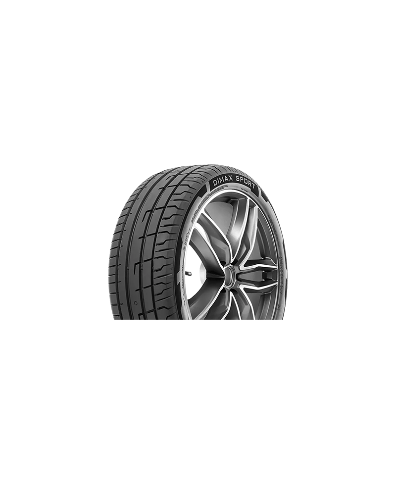 Pneu Radar Dimax Sport 255/ 40 R21 102Y XL , EVC