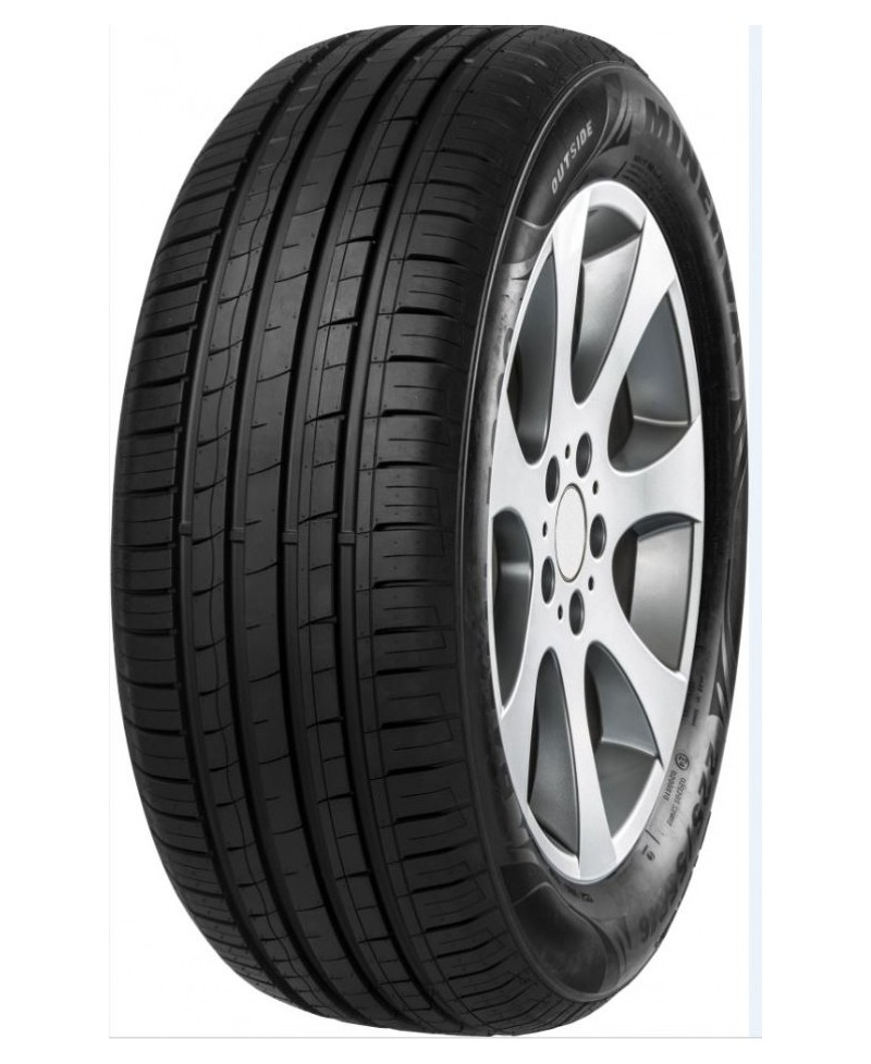 MINERVA F-209 , 225/ 60 R15 96V