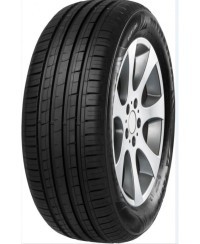 MINERVA F-209 , 225/ 60 R15 96V